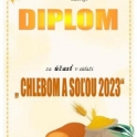 Chlebom a soľou 2023